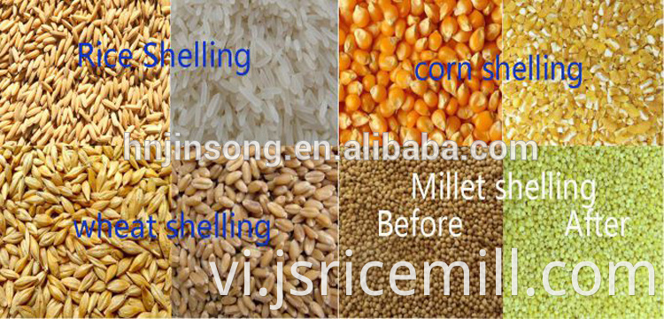 Rice Mill Machine Suppliers